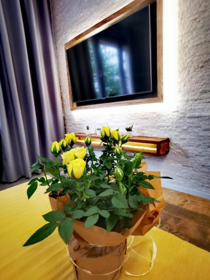 Apartament Przy Arsenale Breslavia Esterno foto